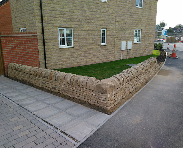 Case study photograph