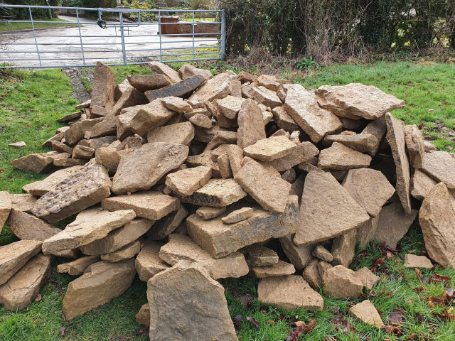 Case study photograph