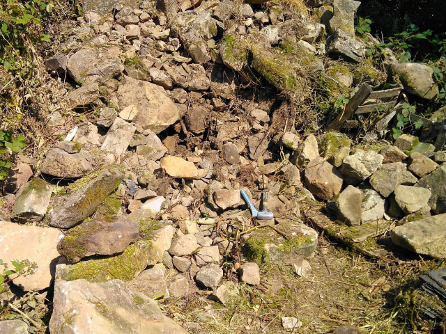 Case study photograph