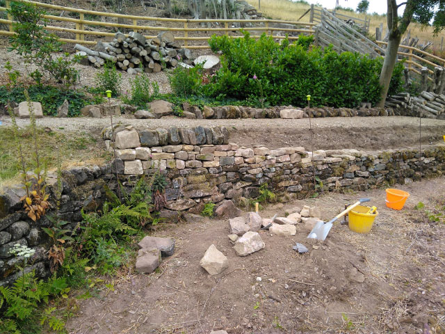 Case study photograph