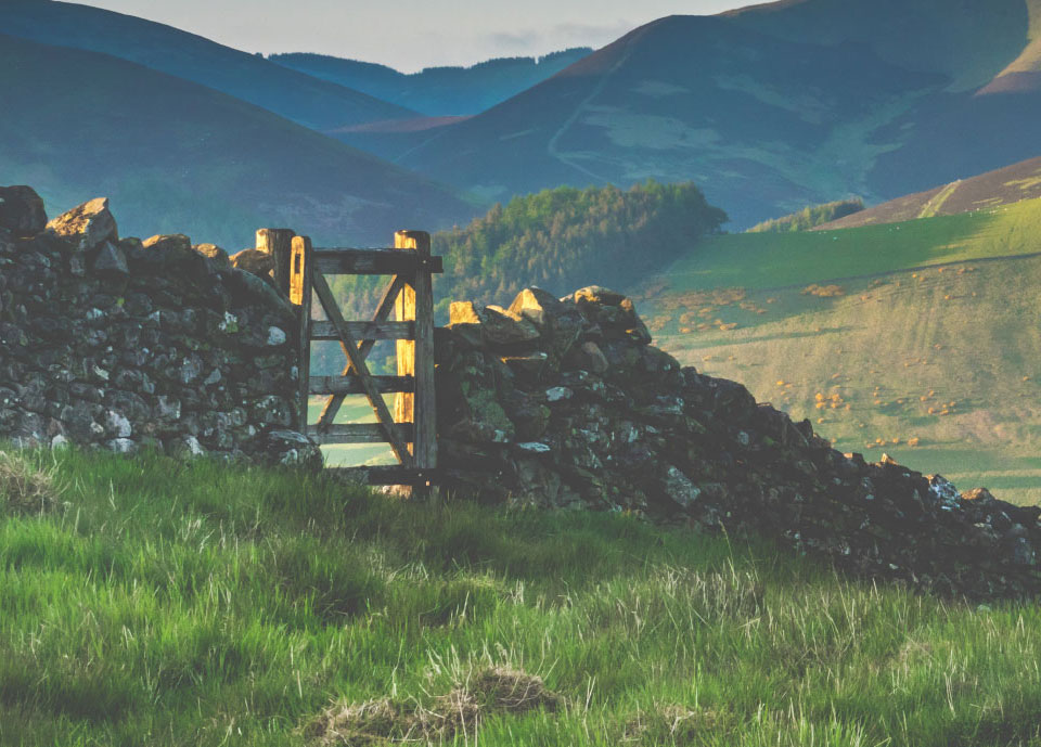 Dry stone wall example